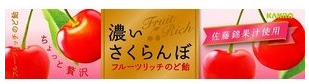 KANRO香濃櫻桃味潤喉糖11粒