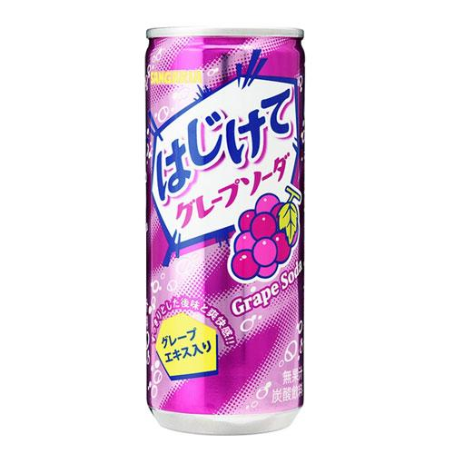 日本三佳利 葡萄苏打汽水250g